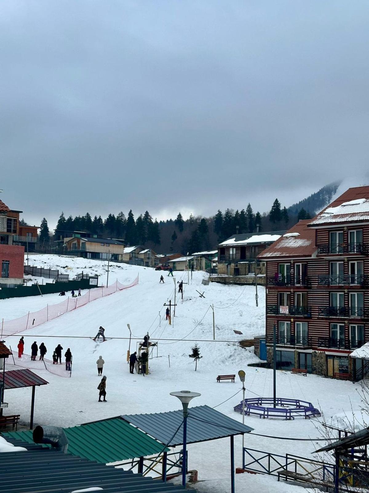 Mgzavrebi Apartment In Бакуриани Екстериор снимка